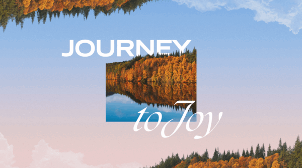 Journey to Joy | Part 8 Image